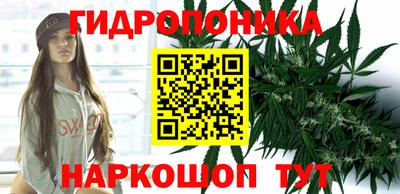 амф Севастополь